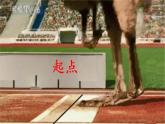 教科版小學(xué)科學(xué)一年級(jí)上冊(cè)2.起點(diǎn)和終點(diǎn) 課件