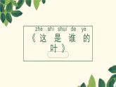 教科版小学科学一年级上册4.《这是谁的叶》课件