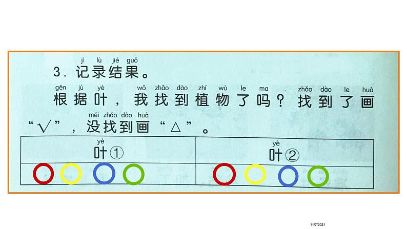 教科版（2017秋）一年级上册  这是谁的叶(1)课件06