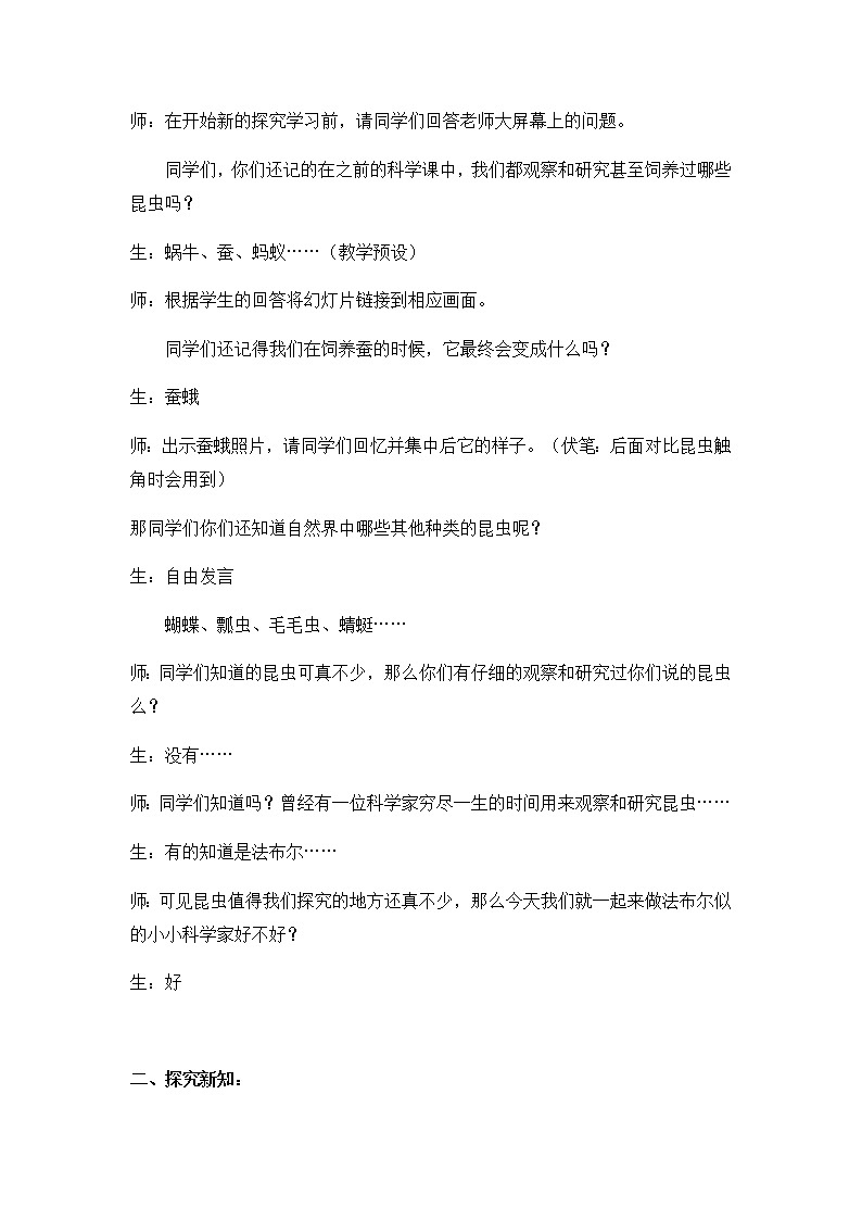 教科版科学六年级下册 1.2 放大镜下的昆虫世界(1) 教案第2页