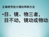 教科版科学六年级下册 1.1 放大镜_(2)（课件）