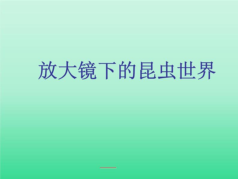 教科版科学六年级下册 1.2 放大镜下的昆虫世界_（课件）第2页