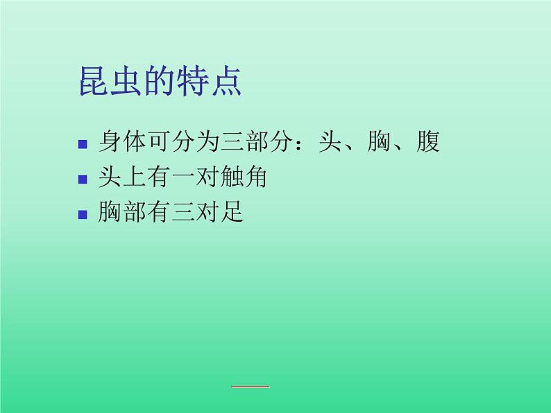 教科版科学六年级下册 1.2 放大镜下的昆虫世界_（课件）第4页