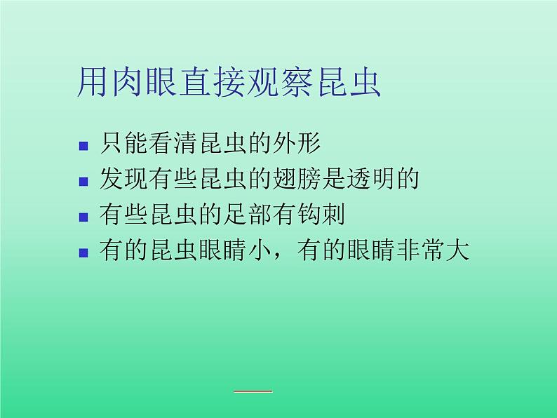 教科版科学六年级下册 1.2 放大镜下的昆虫世界_（课件）第5页