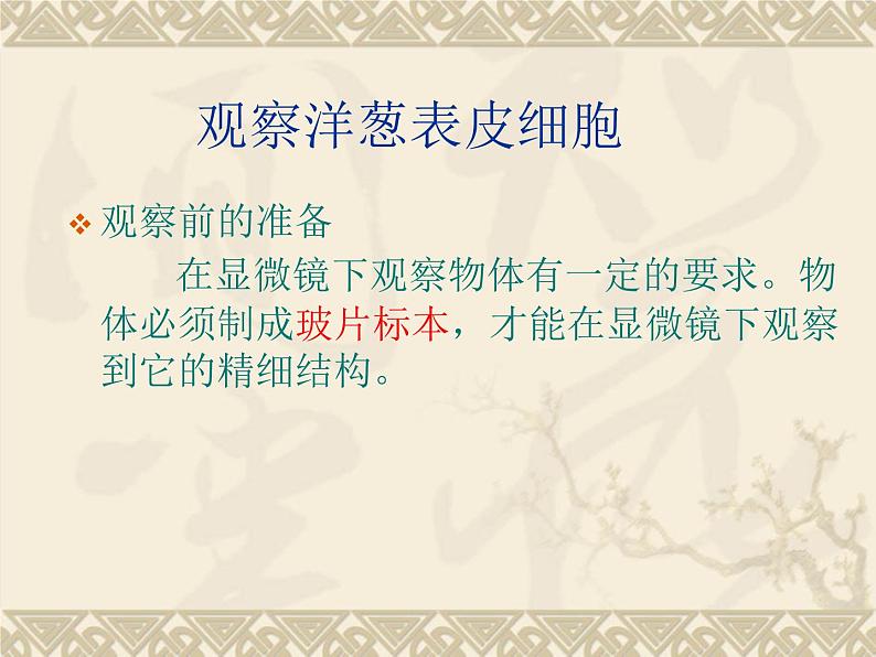 教科版科学六年级下册 1.5 用显微镜观察身边的生命世界(一) 3（课件）第8页