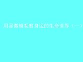 教科版科学六年级下册 1.5 用显微镜观察身边的生命世界（一）(1)（课件）