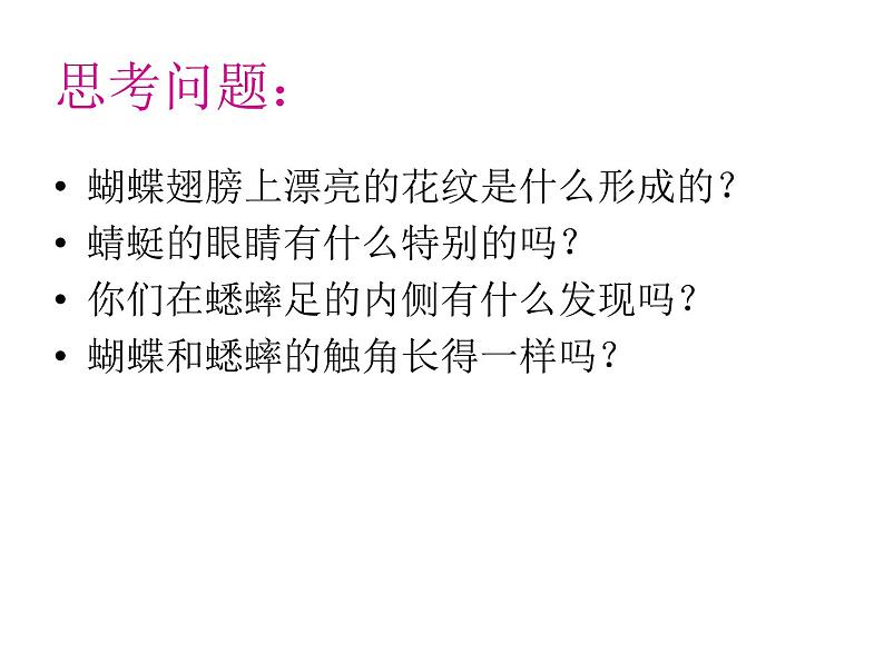 教科版科学六年级下册 1.2 放大镜下的昆虫世界（课件）08