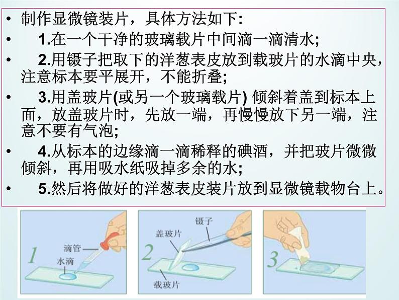 教科版科学六年级下册 1.5 用显微镜观察身边的生命世界（一）_(1)（课件）第5页