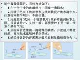 教科版科学六年级下册 1.5 用显微镜观察身边的生命世界（一）_(1)（课件）