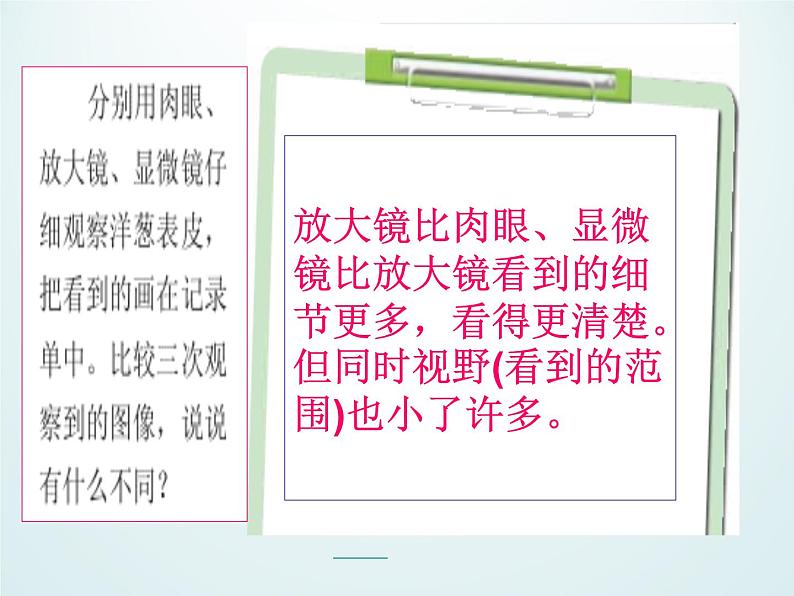 教科版科学六年级下册 1.5 用显微镜观察身边的生命世界（一）_(1)（课件）第7页