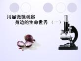 教科版科学六年级下册 1.5 用显微镜观察身边的生命世界（一）_(3)（课件）