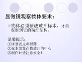 教科版科學(xué)六年級(jí)下冊(cè) 1.5 用顯微鏡觀察身邊的生命世界（一）_(3)（課件）