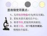 教科版科學(xué)六年級(jí)下冊(cè) 1.5 用顯微鏡觀察身邊的生命世界（一）_(3)（課件）
