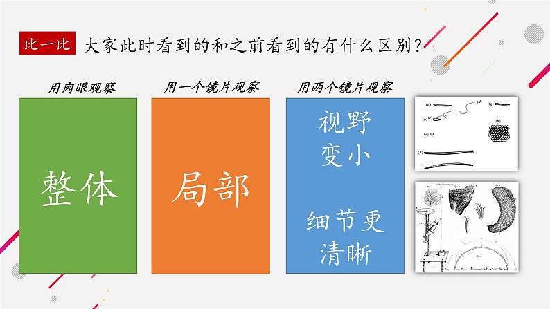 教科版科学六年级下册 1.4 怎样放得更大(4)（课件）07