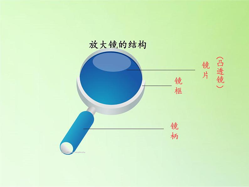 教科版科学六年级下册 1.1 放大镜 (2)（课件）02