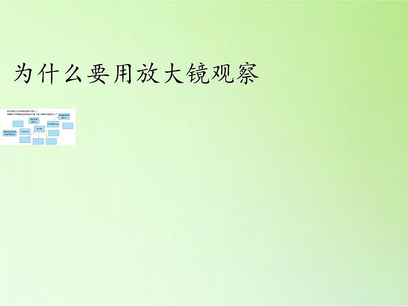 教科版科学六年级下册 1.1 放大镜 (2)（课件）03