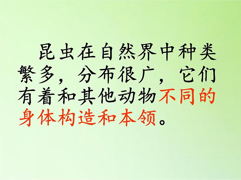 教科版科学六年级下册 1.2 放大镜下的昆虫世界(4)（课件）第2页