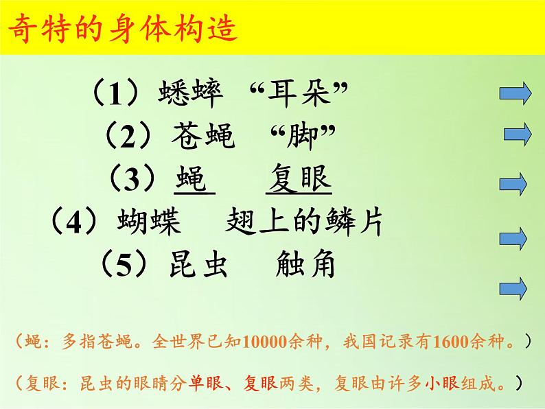 教科版科学六年级下册 1.2 放大镜下的昆虫世界(4)（课件）第3页