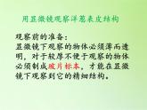 教科版科學(xué)六年級(jí)下冊(cè) 1.5 用顯微鏡觀察身邊的生命世界（一）(3)（課件）