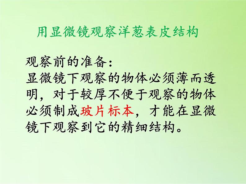 教科版科学六年级下册 1.5 用显微镜观察身边的生命世界（一）(3)（课件）第2页