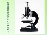教科版科學(xué)六年級(jí)下冊(cè) 1.5 用顯微鏡觀察身邊的生命世界（一）(3)（課件）