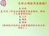 教科版科學(xué)六年級(jí)下冊(cè) 1.5 用顯微鏡觀察身邊的生命世界（一）(3)（課件）