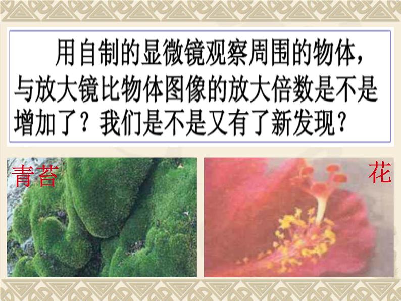 教科版科学六年级下册 1.4 《怎样放得更大》（课件）06