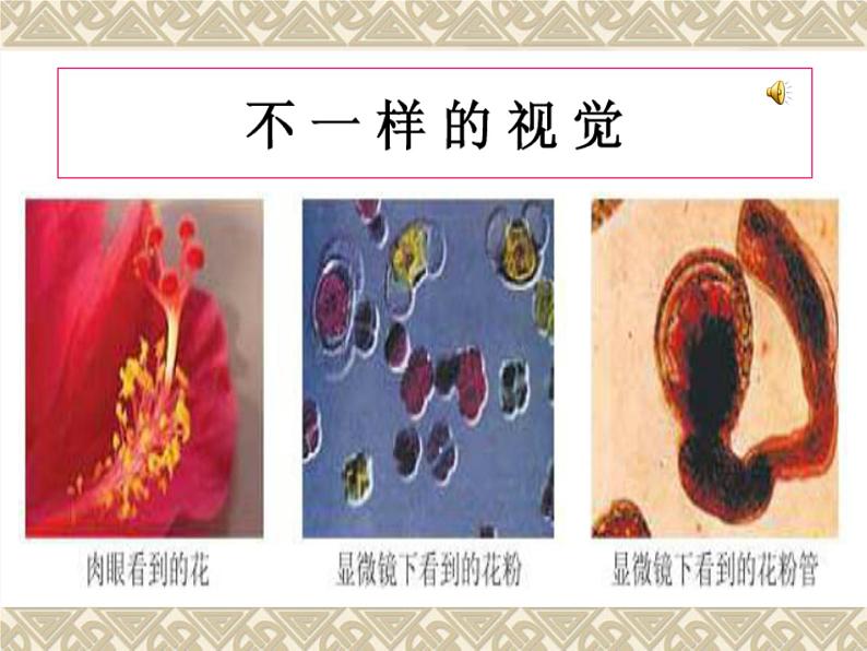 教科版科学六年级下册 1.4 《怎样放得更大》（课件）08