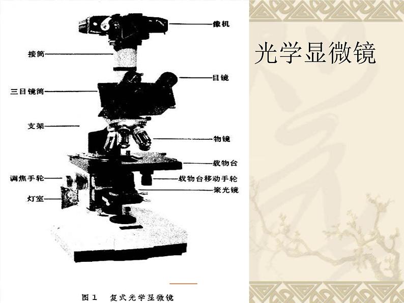 教科版科学六年级下册 1.4 怎样放得更大_（课件）07