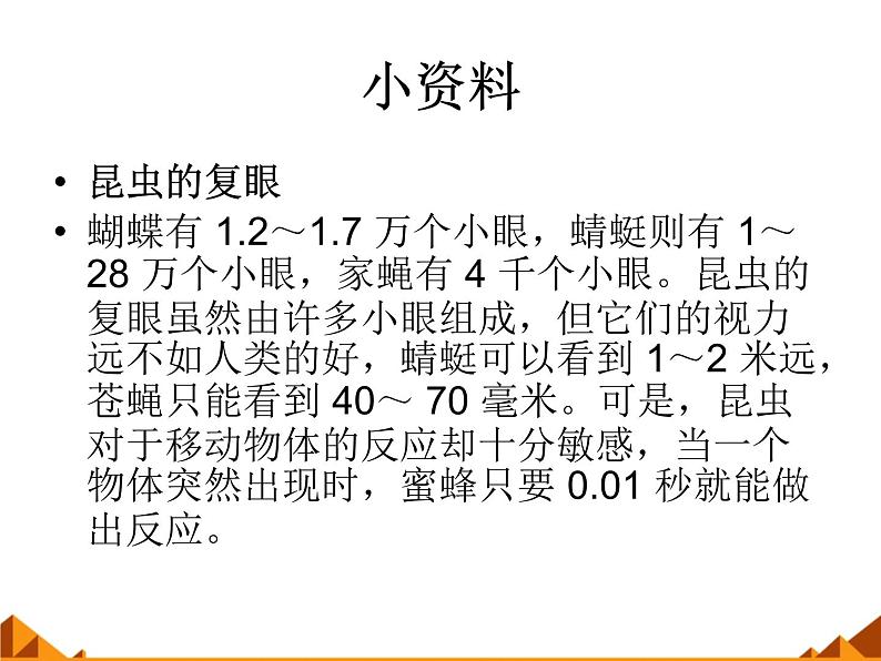 教科版科学六年级下册 1.2 放大镜下的昆虫世界_(2)（课件）第4页