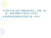 教科版科学六年级下册 1.3 放大镜下的晶体（课件）