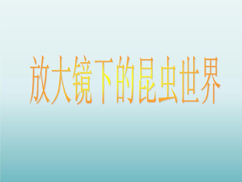 教科版科学六年级下册 1.2 放大镜下的昆虫世界_(1)（课件）第1页