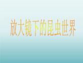 教科版科学六年级下册 1.2 放大镜下的昆虫世界_(1)（课件）