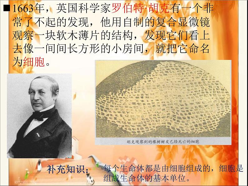 教科版科学六年级下册 1.5 用显微镜观察身边的生命世界(一) （课件）03