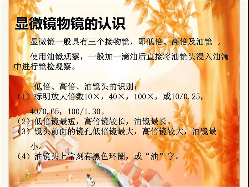 教科版科学六年级下册 1.5 用显微镜观察身边的生命世界(一) （课件）05