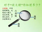 教科版科学六年级下册 1.2 放大镜下的昆虫世界(3)（课件）