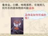教科版科学六年级下册 1.3 《放大镜下的晶体》 (2)（课件）