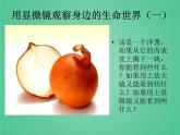 教科版科學(xué)六年級(jí)下冊(cè) 1.5用顯微鏡觀察身邊的生命世界（一）_（課件）