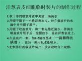 教科版科學(xué)六年級(jí)下冊(cè) 1.5用顯微鏡觀察身邊的生命世界（一）_（課件）