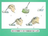 教科版科學(xué)六年級(jí)下冊(cè) 1.5用顯微鏡觀察身邊的生命世界（一）_（課件）