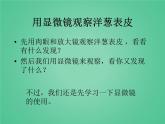 教科版科學(xué)六年級(jí)下冊(cè) 1.5用顯微鏡觀察身邊的生命世界（一）_（課件）