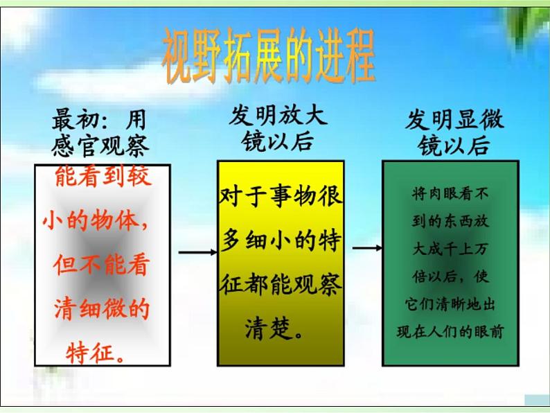 教科版科学六年级下册 1.8 微小世界和我们(4)（课件）第2页