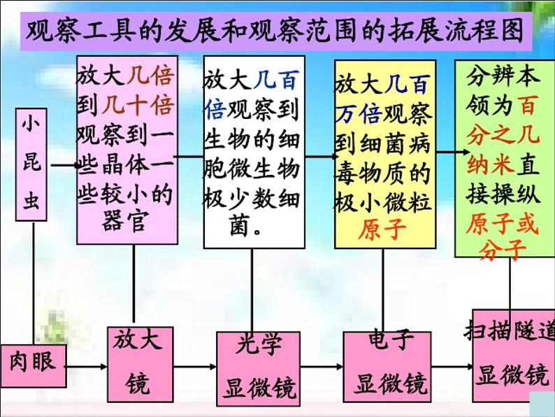 教科版科学六年级下册 1.8 微小世界和我们(4)（课件）第3页