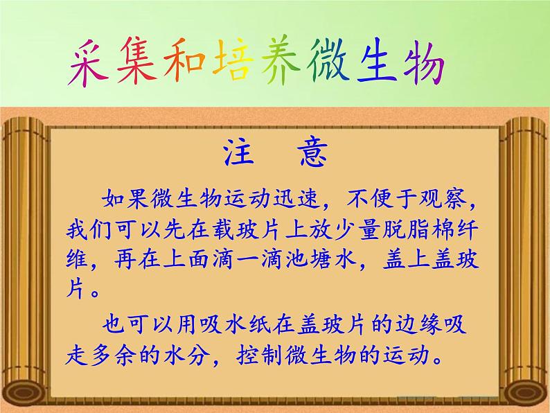 教科版科学六年级下册 1.7 用显微镜观察身边的生命世界（三）(1)（课件）07