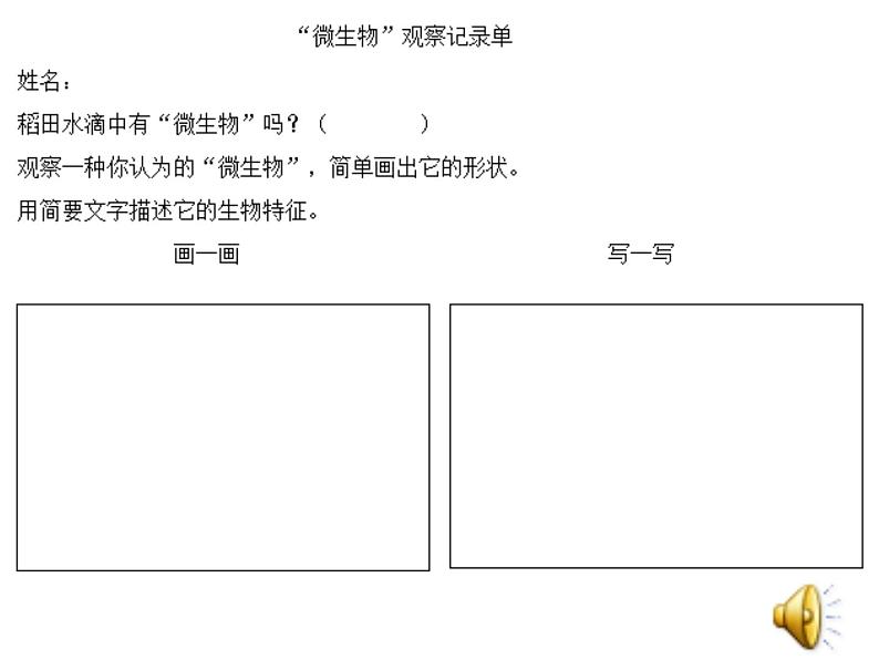 教科版科学六年级下册 1.7 用显微镜观察身边的生命世界（三）（PPT）（课件）05