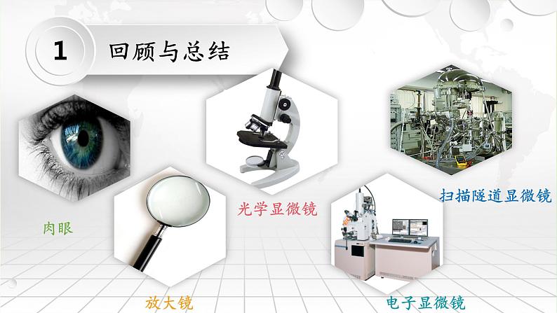 教科版科学六年级下册 1.8 微小世界和我们(2)（课件）第4页