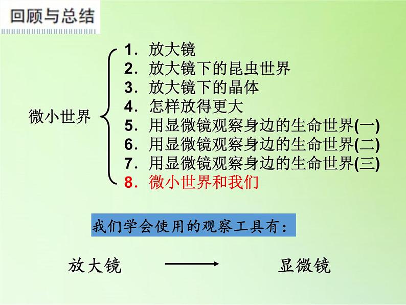 教科版科学六年级下册 1.8 微小世界和我们(7)（课件）02