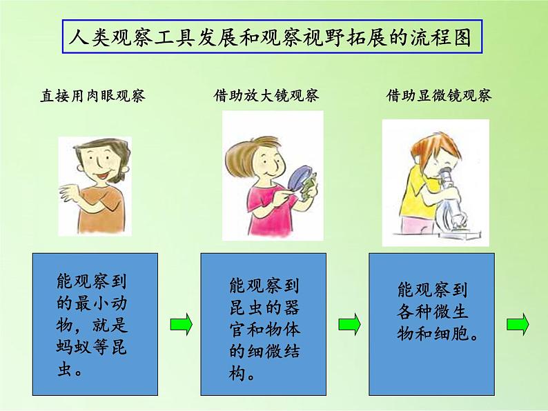 教科版科学六年级下册 1.8 微小世界和我们(7)（课件）03