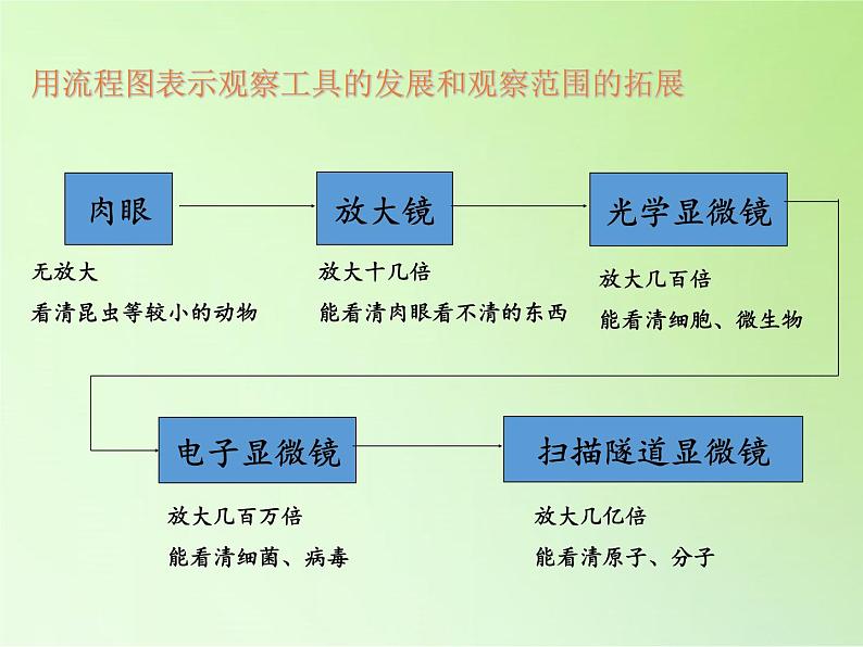 教科版科学六年级下册 1.8 微小世界和我们(7)（课件）05