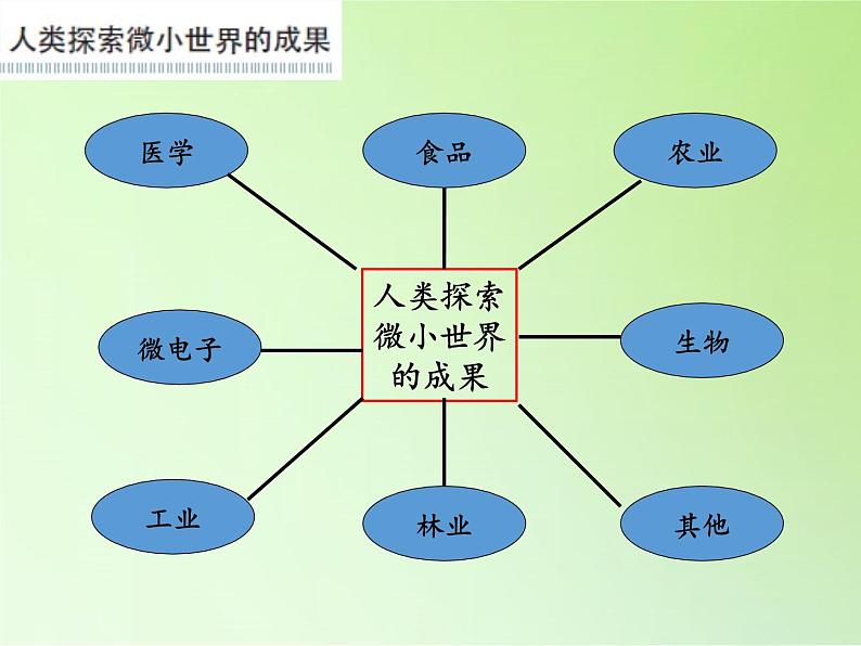 教科版科学六年级下册 1.8 微小世界和我们(7)（课件）06